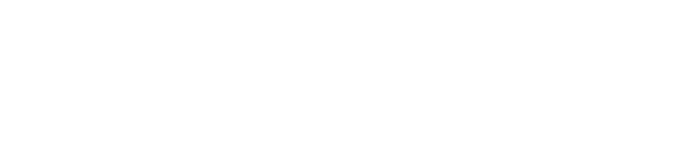 Nusantara Insight